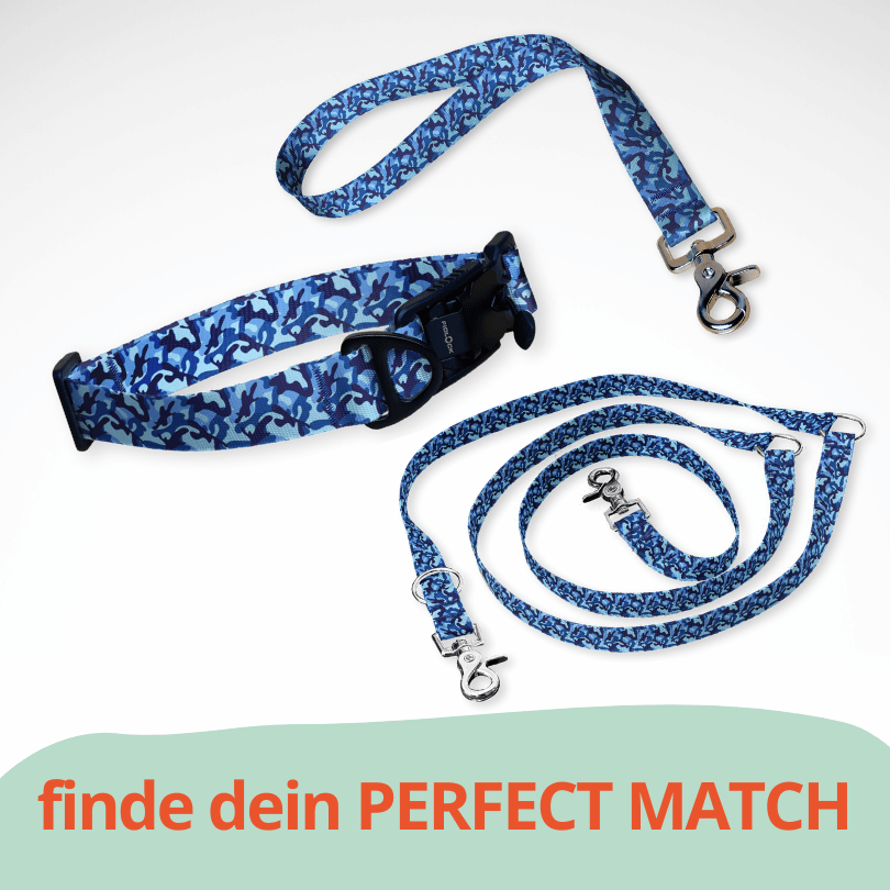 Set Hundehalsband mit FIDLOCK Magnetverschluss, dreifach verstellbarer Hundeleine und Kurzführer in blauem Camouflage