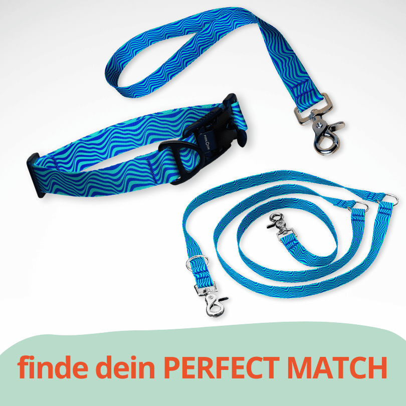 Set Hundehalsband mit FIDLOCK Magnetverschluss, dreifach verstellbarer Hundeleine und Kurzführer mit blauen Wellen