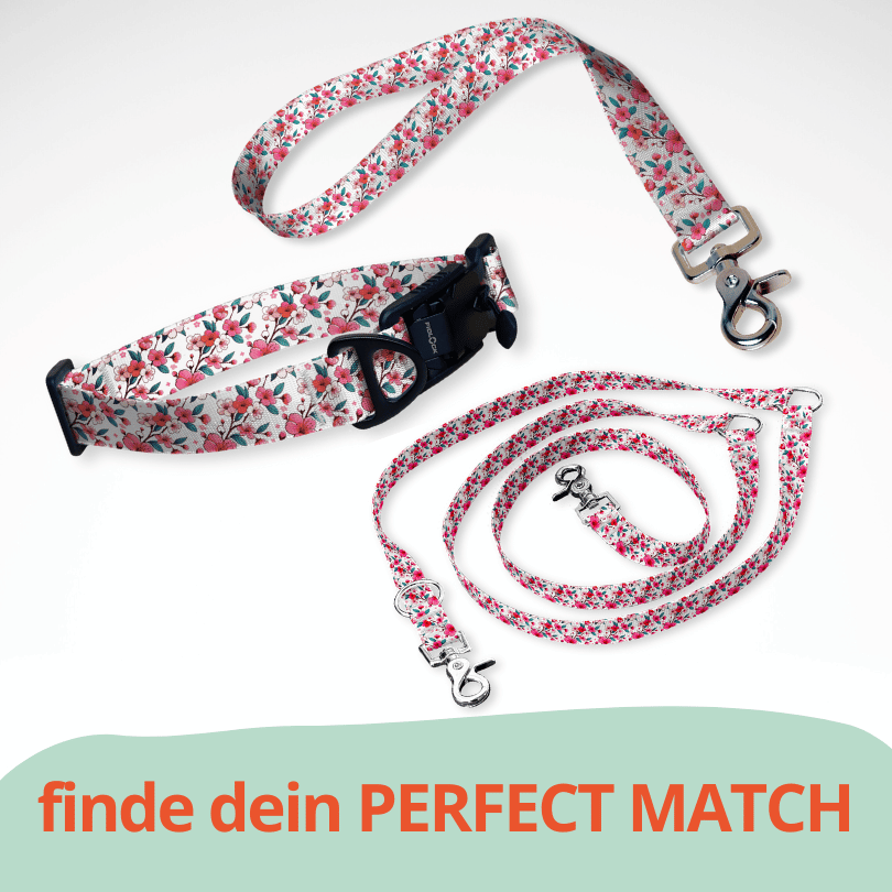 Set Hundehalsband mit FIDLOCK Magnetverschluss, dreifach verstellbarer Hundeleine und Kurzführer in weiß pink