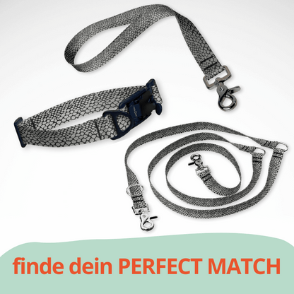 Set Hundehalsband mit FIDLOCK Magnetverschluss, dreifach verstellbarer Hundeleine und Kurzführer in Schlangenmuster