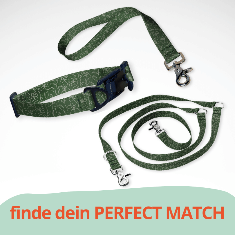 Set Hundehalsband mit FIDLOCK Magnetverschluss, dreifach verstellbarer Hundeleine und Kurzführer in dunkelgrün