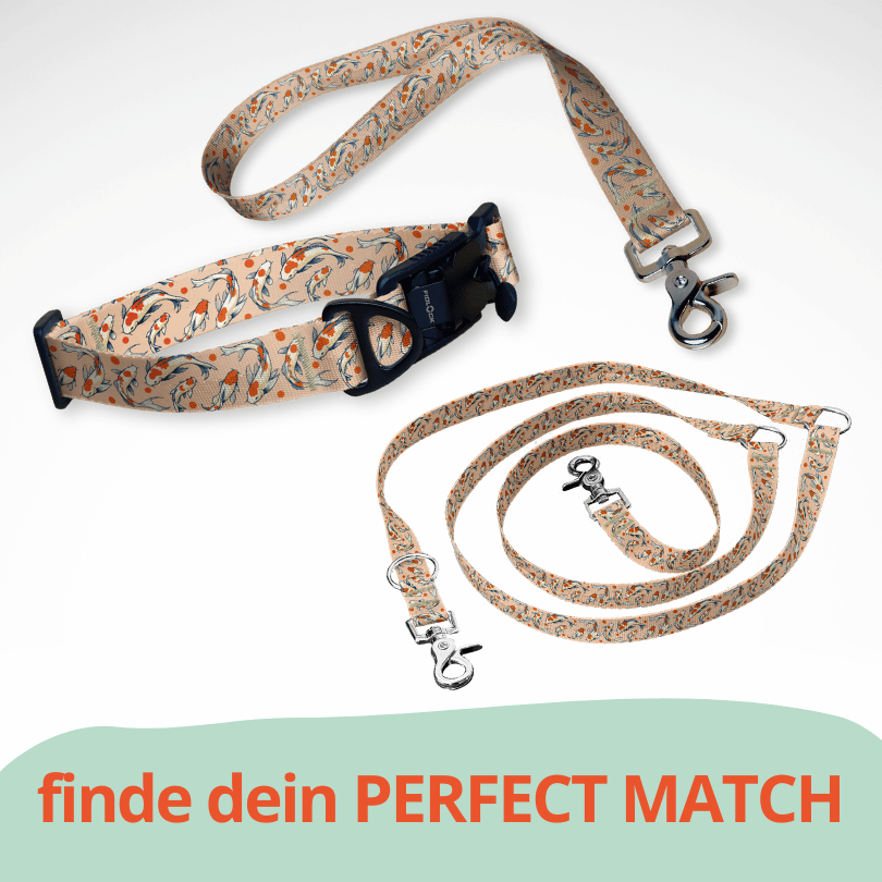 Set Hundehalsband mit FIDLOCK Magnetverschluss, dreifach verstellbarer Hundeleine und Kurzführer in beige, orange