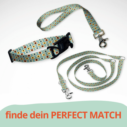 Set Hundehalsband mit FIDLOCK Magnetverschluss, dreifach verstellbarer Hundeleine und Kurzführer mit bunten Augen