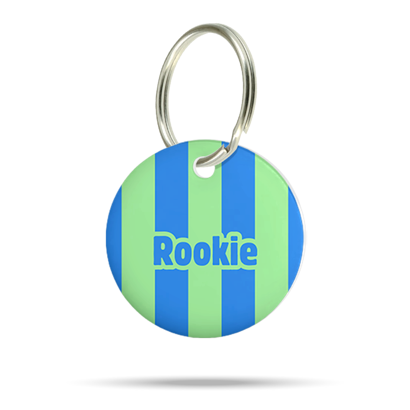Personalisierte Hundemarke aus Acryl mit blauen und grünen Streifen sowie dem Namen Rookie auf weißem Hintergrund.