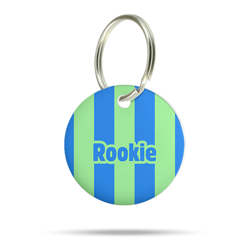 Personalisierte Hundemarke aus Acryl mit blauen und grünen Streifen sowie dem Namen Rookie auf weißem Hintergrund.