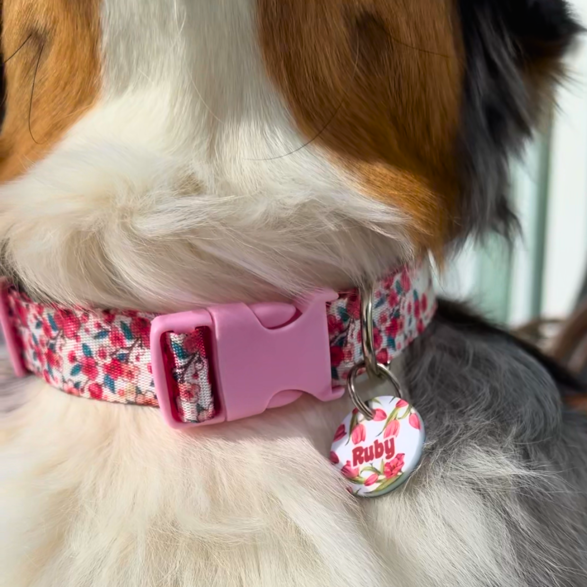 Hund mit rosa Halsband trägt personalisierte Acryl Hundemarke mit pink-weißem Tulpenmuster und Namen, leise und klimperfrei am Halsband befestigt