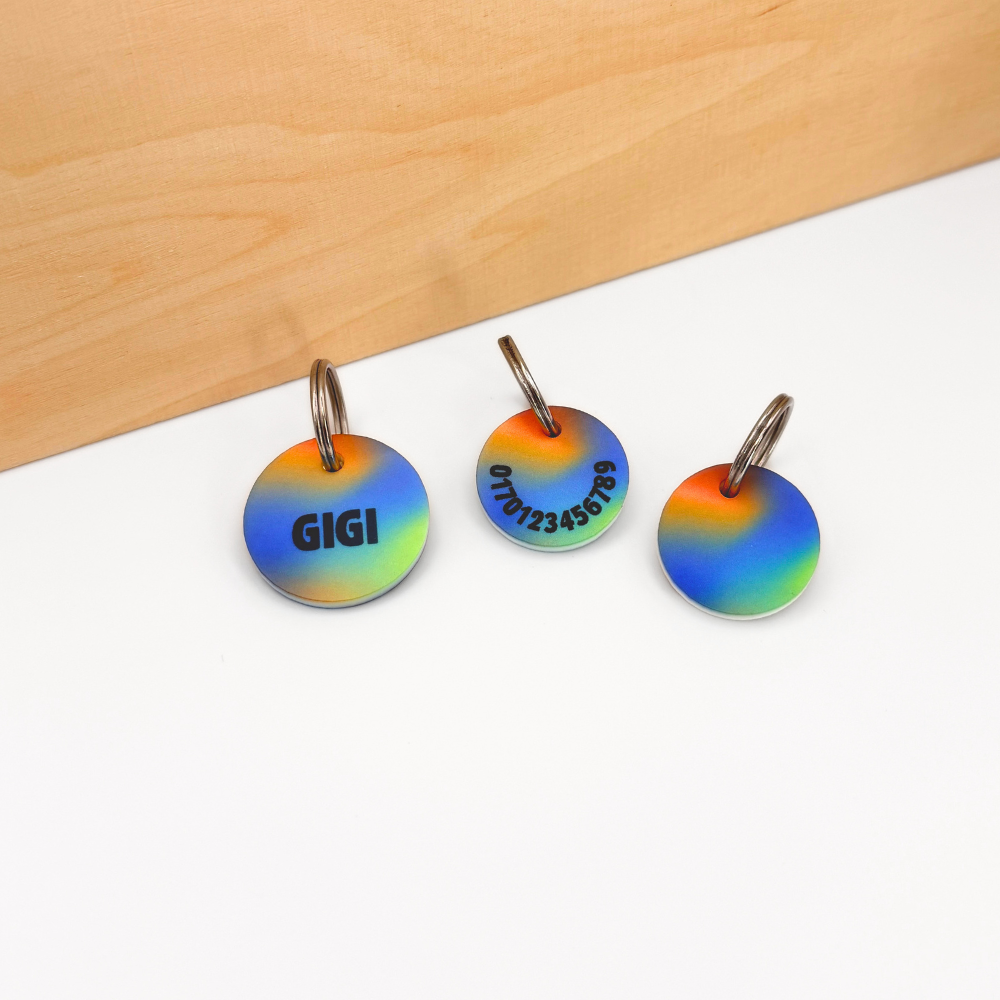 Personalisierte Hundemarken aus Acryl mit buntem Farbverlauf, leicht, geräuschlos und klimperfrei, Dog ID mit Namen „Gigi“ und zweiter Marke mit Telefonnummer