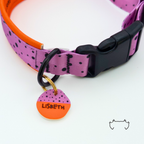 Pink-oranges Hundehalsband im Drachenfrucht-Design mit schwarzen Punkten, schwarzem Klickverschluss und passender runder Acryl-Hundemarke mit Name „Lisbeth“.