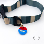 Personalisierte runde Acryl-Hundemarke im Agility-Hundesport-Design in Blau und Rot, befestigt an einem dunkelgrün-beige gestreiften Hundehalsband.