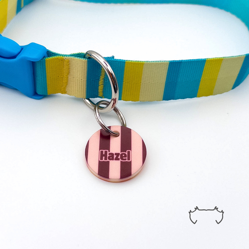 Personalisierte runde Acryl-Hundemarke mit bordeaux-rosa Streifen und Name, befestigt an einem türkis-gelb-beige gestreiften Hundehalsband mit blauem Verschluss.