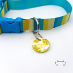 Runde personalisierte Acryl-Hundemarke mit gelb-weißem Blumenmuster und Name, befestigt an einem türkis-gelb-beige gestreiften Hundehalsband mit blauem Verschluss.