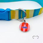 Personalisierte runde Acryl-Hundemarke mit rot-rosa Streifen und blauem Namen, befestigt an einem türkis-gelb-beige gestreiften Hundehalsband mit blauem Verschluss.