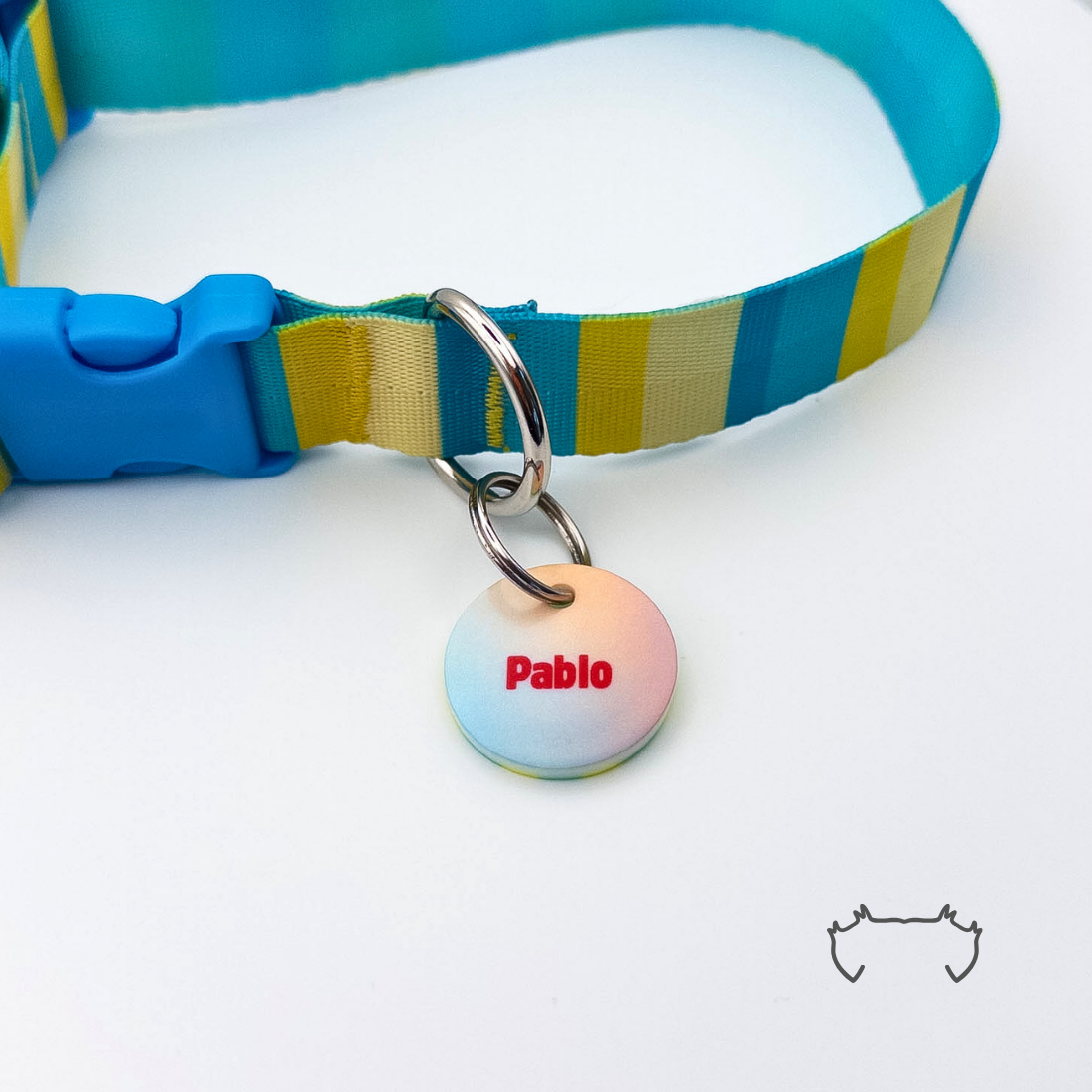 Runde personalisierte Acryl-Hundemarke mit sanftem Farbverlauf in Blau, Weiß und Rot, befestigt an einem türkis-gelb gestreiften Hundehalsband mit blauem Verschluss.