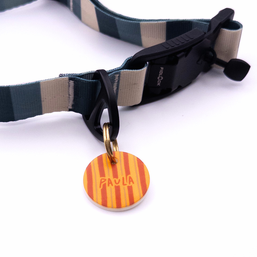 Personalisierte runde Acryl-Hundemarke mit herbstlichem Streifenmuster in Orange, Braun und Gelb, befestigt an einem dunkelgrün-beige gestreiften Hundehalsband mit schwarzem Verschluss.
