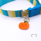 Formgeschnittene Acryl-Hundemarke in orangefarbener Kürbisform, befestigt an einem türkis-gelb-beigen Hundehalsband mit blauem Verschluss. Leichte bunte Hundemarke für Hunde im Halloween- und Herbst-Look.