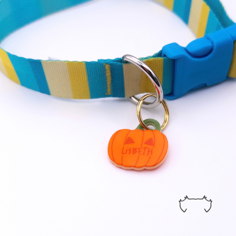 Formgeschnittene Acryl-Hundemarke in orangefarbener Kürbisform, befestigt an einem türkis-gelb-beigen Hundehalsband mit blauem Verschluss. Leichte bunte Hundemarke für Hunde im Halloween- und Herbst-Look.