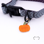 Formgeschnittene orange Acryl-Hundemarke in Kürbisform, befestigt an einem grauen Hundehalsband mit dunklem Chevron-Muster und schwarzem Verschluss. Leichte personalisierte Hundemarke für Hunde im Herbst-Design.