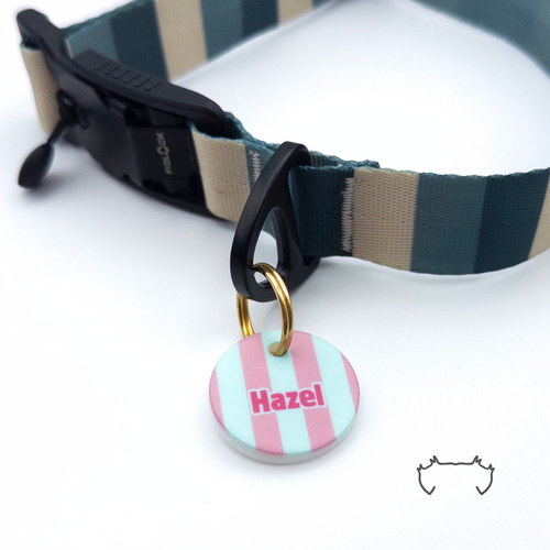 Personalisierte runde Hundemarke aus Acryl mit rosa, mintgrünen und weißen Streifen und Name „Hazel“, befestigt an einem dunkelgrün-beige gestreiften Hundehalsband mit schwarzem Verschluss.