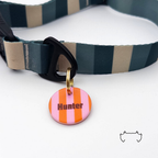 Runde personalisierte Acryl-Hundemarke mit rosa-orangen Streifen und Name, befestigt an einem dunkelgrün-beige gestreiften Hundehalsband mit schwarzem Verschluss.