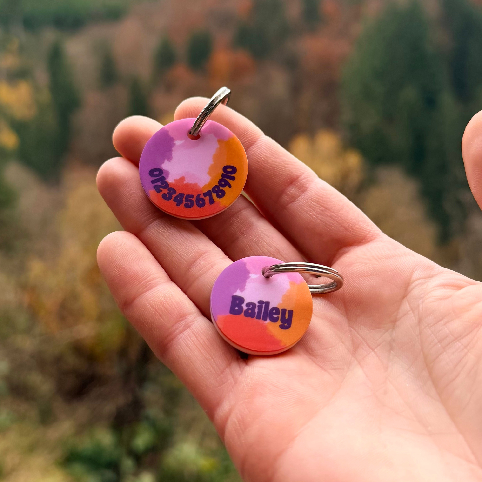 Hand hält zwei personalisierte Acryl Hundemarken im Pastell Design vor Waldhintergrund, eine mit Name „Bailey“, leicht, geräuschlos und klimperfrei