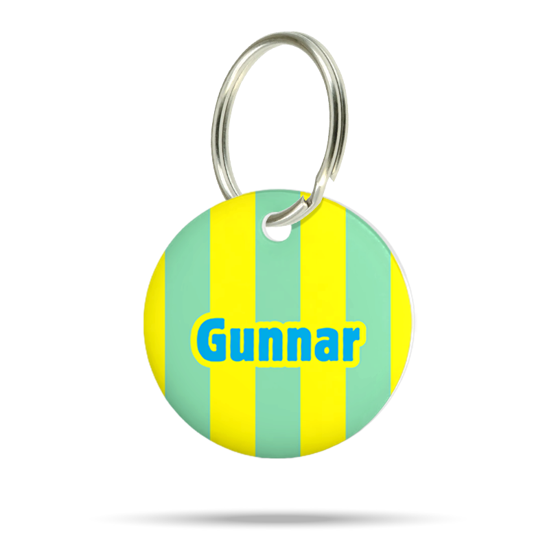 Personalisierte Hundemarke aus Acryl mit mintgrünen und gelben Streifen sowie dem Namen Gunnar auf weißem Hintergrund.