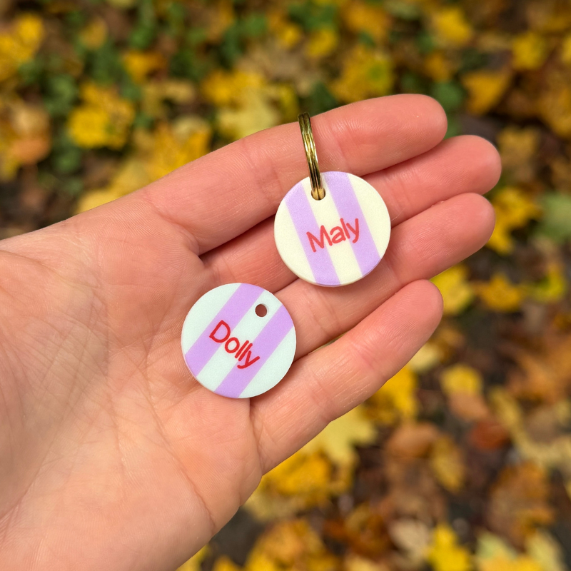 Zwei handgefertigte, runde Acryl-Hundemarken mit bunten Pastellstreifen liegen auf einer offenen Hand vor herbstlichem Laub.
