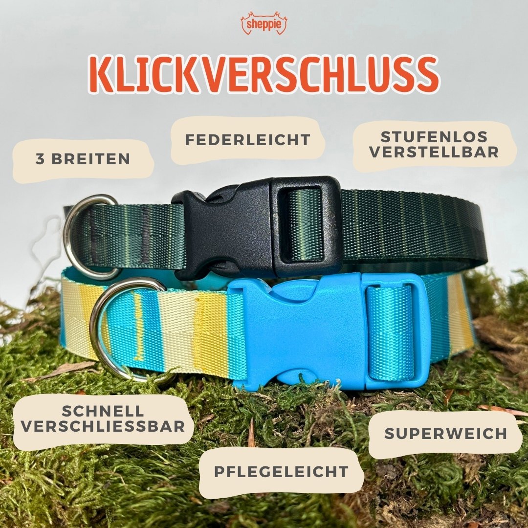 Vorteile Klickverschluss Hundehalsband von Sheppie - schnell verschließbar, pflegeleicht, superweich, federleicht