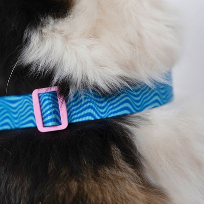 Personalisiertes Hundehalsband in Nahaufnahme, getragen von einem Australian Shepherd Hund mit türkisen Wellen von sheppie