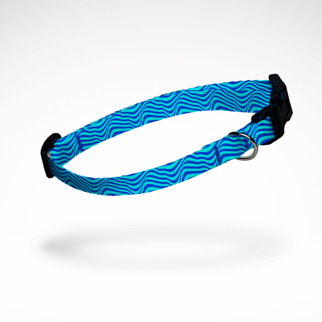 Detailansicht eines schmalen Hundehalsbands für kleine Hunde und Welpen blaue Wellen - Mit Name Nummer Personalisierung