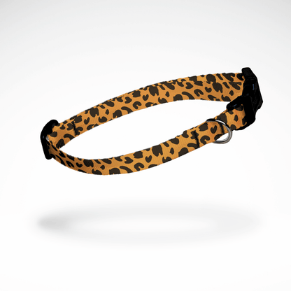 Nahaufnahme eines schmalen Hundehalsbands für kleine Hunde und Welpen mit Name und Nummer mit Leo Print- Kostenlose Personalisierung