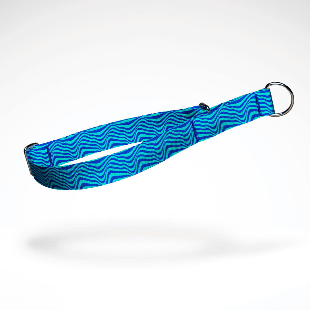 Zugstopp Halsband | Martingale | Schlupfhalsband | kostenlose Personalisierung | blaue Wellen | größenverstellbar