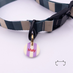 Runde Acryl-Hundemarke mit pastellgelben und lila Streifen, personalisiert mit Namen, an einem dunkelgrün-beigen Hundehalsband.