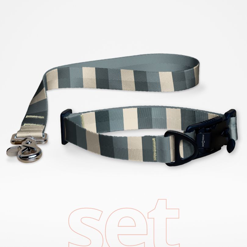 Set aus Hundehalsband mit FIDLOCK Verschluss und Kurzführer mit gestreiftem Muster, gratis personalisiert mit Namen und Nummer