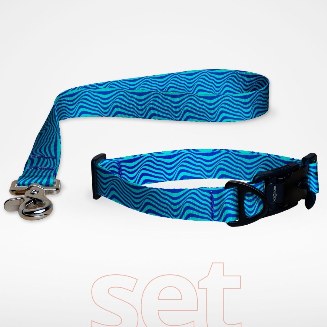 Set FIDLOCK Hundehalsband und kurze Hundeleine Kurzführer mit gratis Personalisierung Swirl Meer