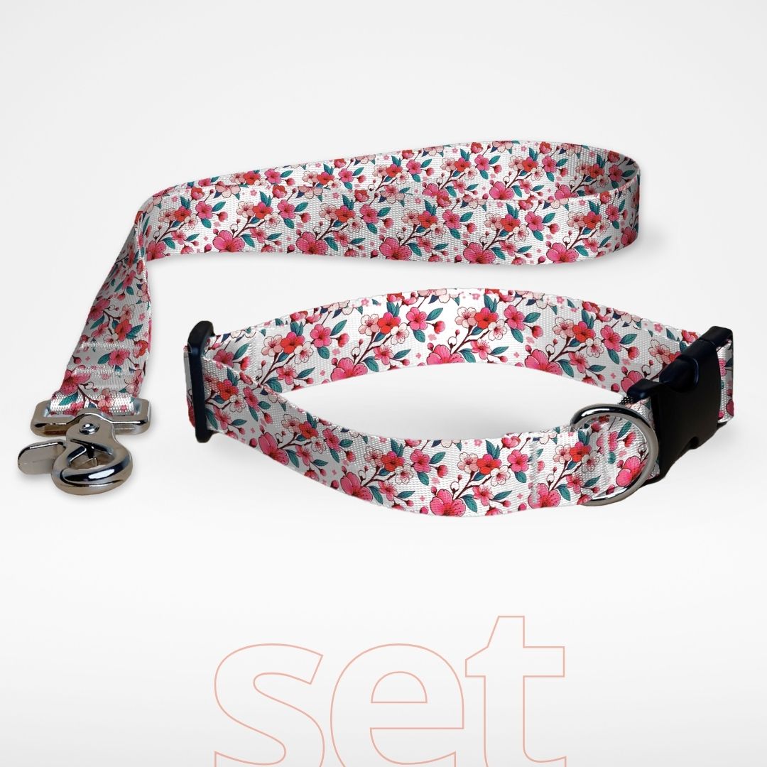 Set Hundehalsband mit Klickverschluss und kurze Hundeleine Kurzführer mit gratis Personalisierung Kirschblüte