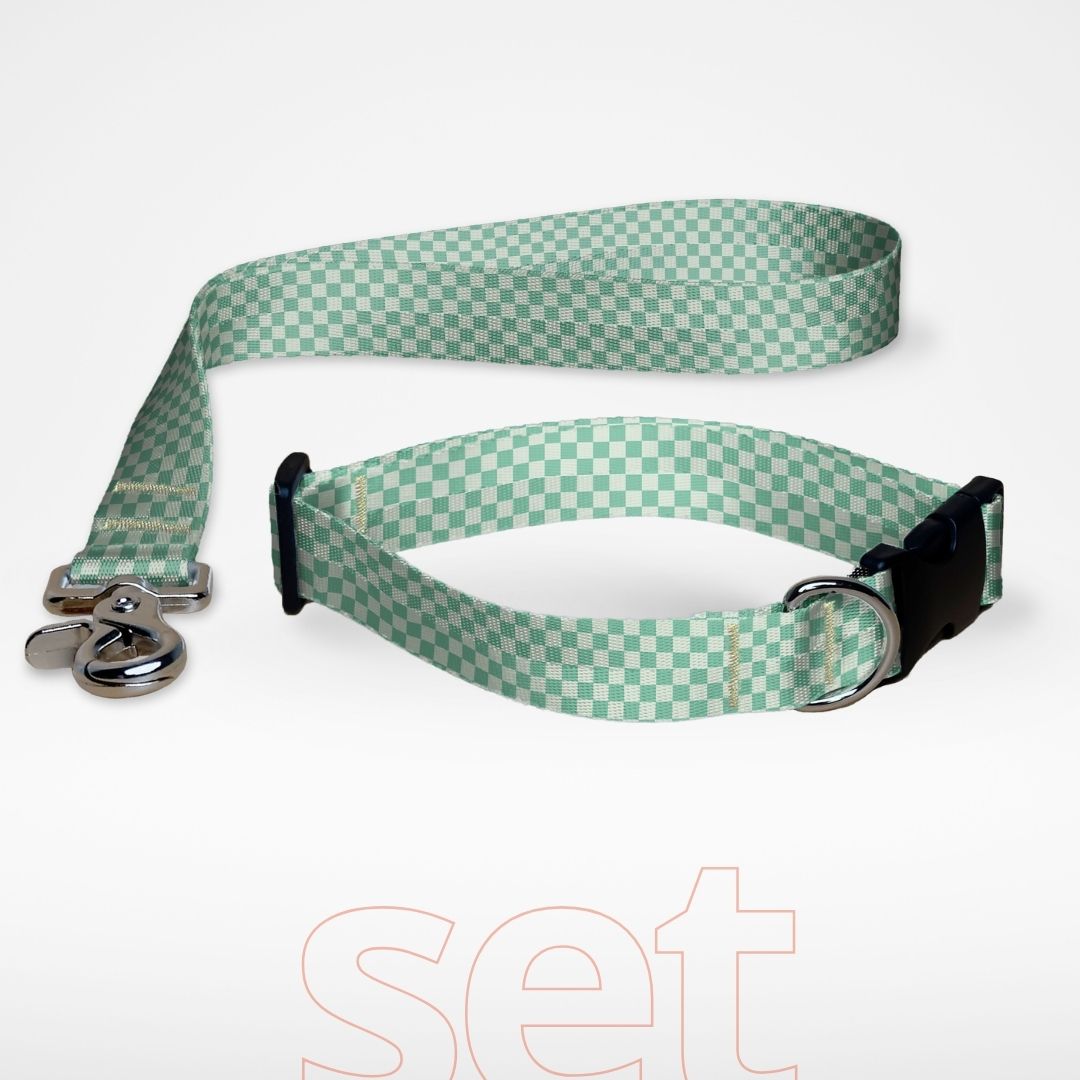 Set Hundehalsband mit Klickverschluss und kurze Hundeleine Kurzführer mit gratis Personalisierung Retro Check Mint