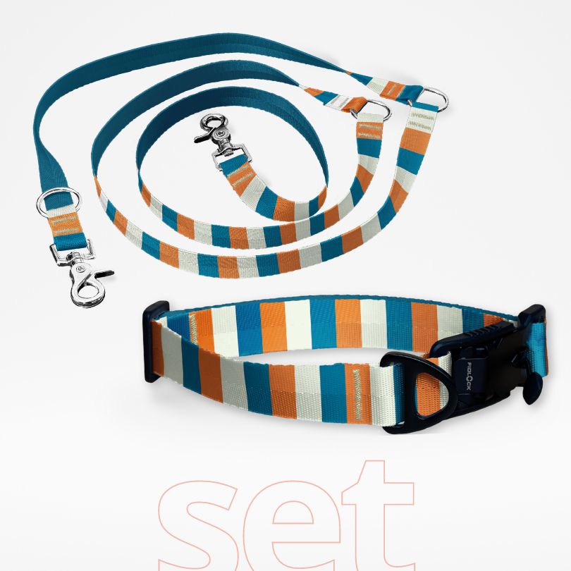 Hundehalsband mit FIDLOCK Magnetverschluss und dreifach verstellbare Hundeleine im Set mit gratis Personalisierung orange blau Coral