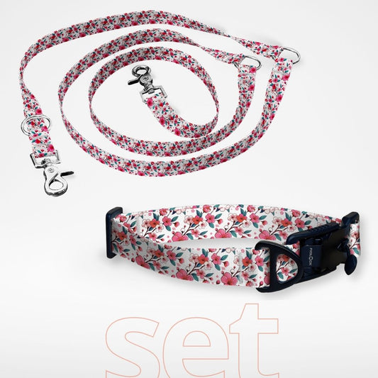 Set: Hundehalsband mit FIDLOCK Magnetverschluss und dreifach verstellbare Hundeleine - gratis personalisiert Name + Nummer - Kirschblüte