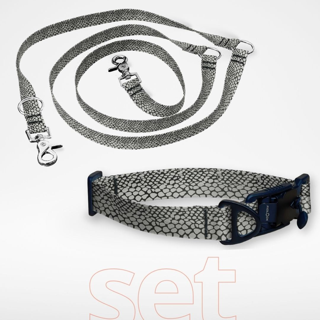 Set: Hundehalsband mit FIDLOCK Magnetverschluss und dreifach verstellbare Hundeleine - gratis personalisiert Name + Nummer - Cobra  Schlange Muster