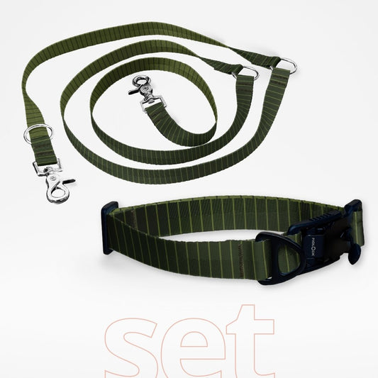 Hundehalsband mit FIDLOCK Magnetverschluss und dreifach verstellbare Hundeleine im Set mit gratis Personalisierung Evergreen