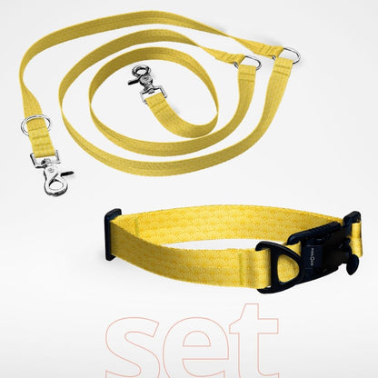 Set: Hundehalsband mit FIDLOCK Magnetverschluss und dreifach verstellbare Hundeleine - gratis personalisiert Name + Nummer - Gold Kiseki Muster