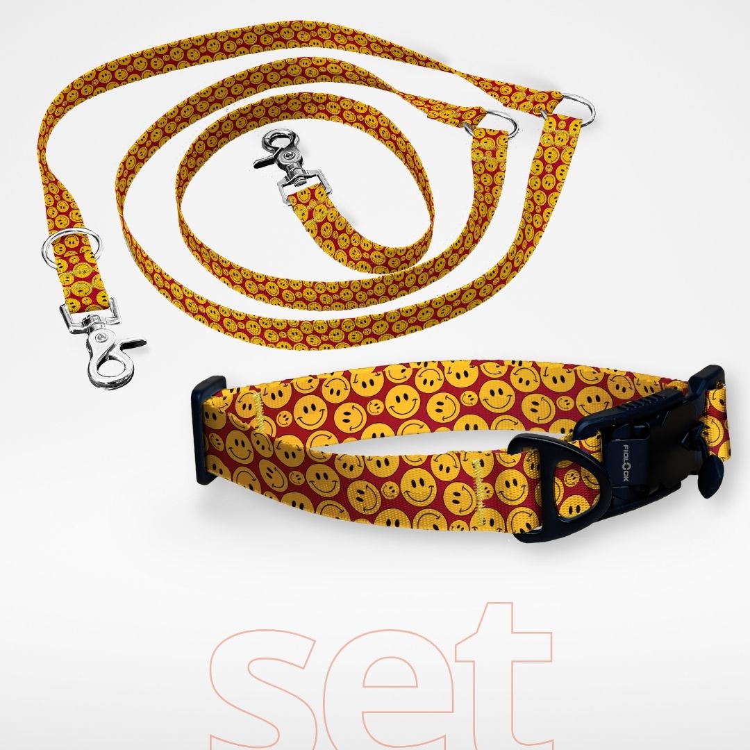 Set: Hundehalsband mit FIDLOCK Magnetverschluss und dreifach verstellbare Hundeleine - gratis personalisiert Name + Nummer - Smiley