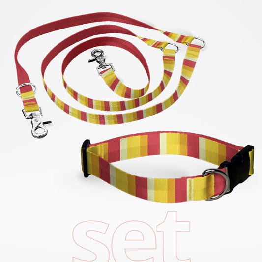 Set Hundehalsband mit Klickverschluss und dreifach verstellbare Hundeleine mit gratis Personalisierung Summer Breeze