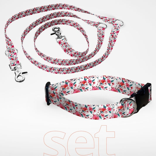 Hundehalsband mit Klickverschluss und dreifach verstellbare Hundeleine im Set mit gratis Personalisierung Kirschblüte