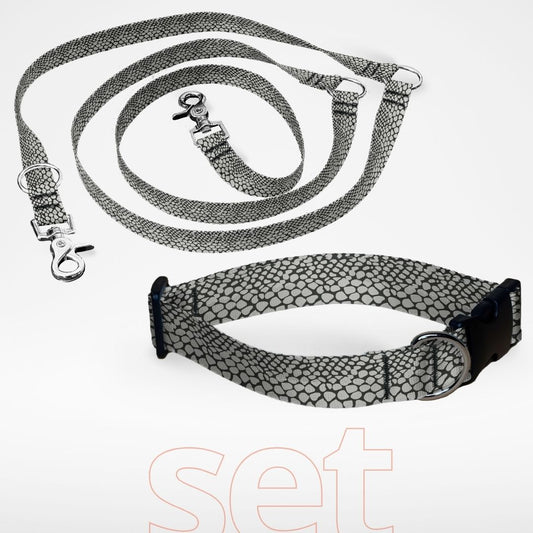 Hundehalsband mit Klickverschluss und dreifach verstellbare Hundeleine im Set mit gratis Personalisierung Cobra Chic