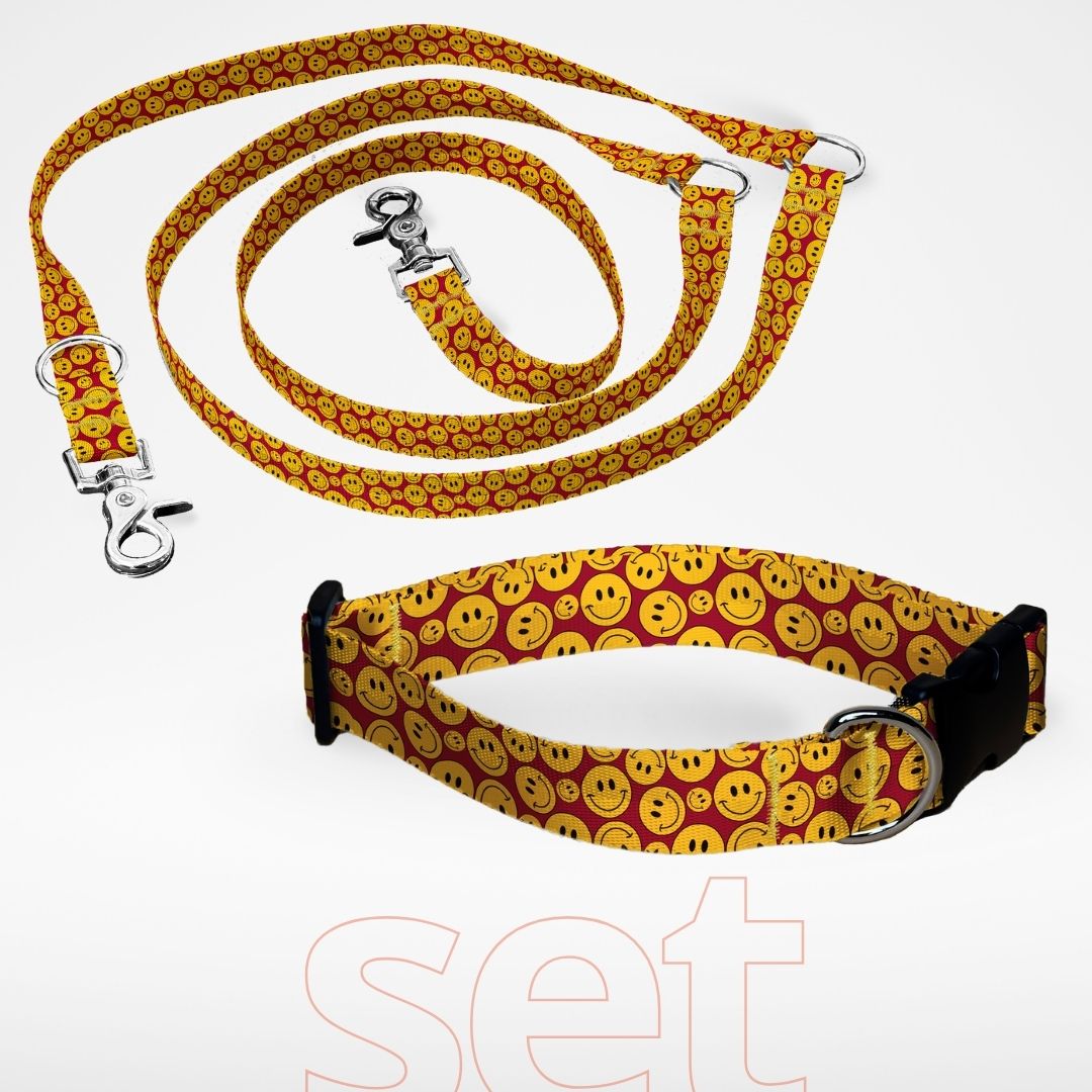 Set Hundehalsband mit Klickverschluss und dreifach verstellbare Hundeleine mit gratis Personalisierung Sunny Smiles