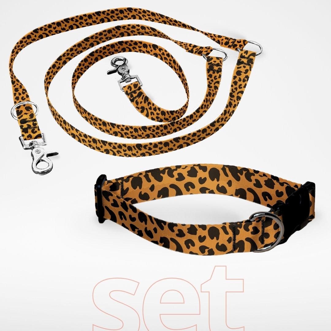 Set Hundehalsband mit Klickverschluss und dreifach verstellbare Hundeleine mit gratis Personalisierung Leopard