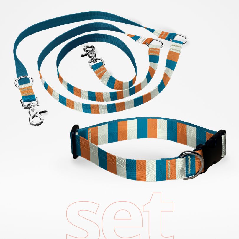 Set Hundehalsband mit Klickverschluss und dreifach verstellbare Hundeleine mit gratis Personalisierung Coral Reef