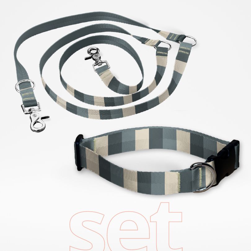 Set Hundehalsband mit Klickverschluss und dreifach verstellbare Hundeleine mit gratis Personalisierung Stone & Sand