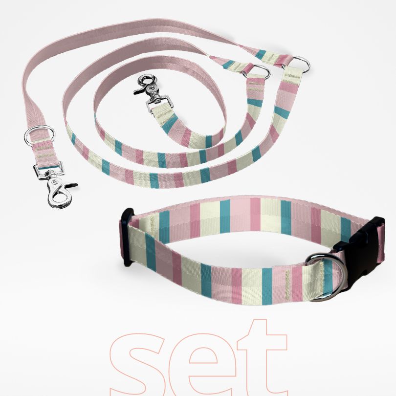 Set Hundehalsband mit Klickverschluss und dreifach verstellbare Hundeleine mit gratis Personalisierung Cotton Candy